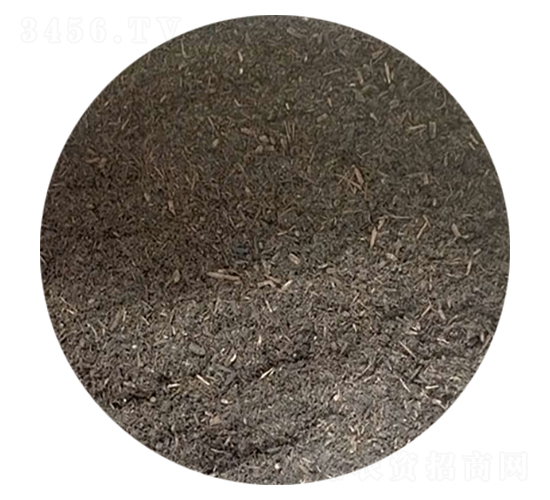 �嶼�۶����ЙC(j��)��-ʢ혈@