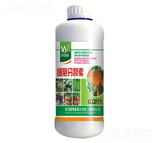 ��(x��)��������-�ֿ��S