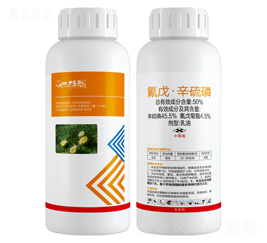 50%���졤����������-�Ͳ�˹