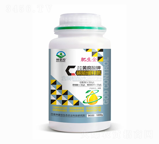 �S�����̼�ܾ�ጵ���-������-���ƿ�