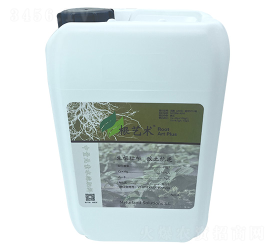 ��ˇ�g(sh��)-��Ȼ��