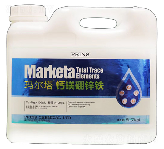 �������}�V���\�F