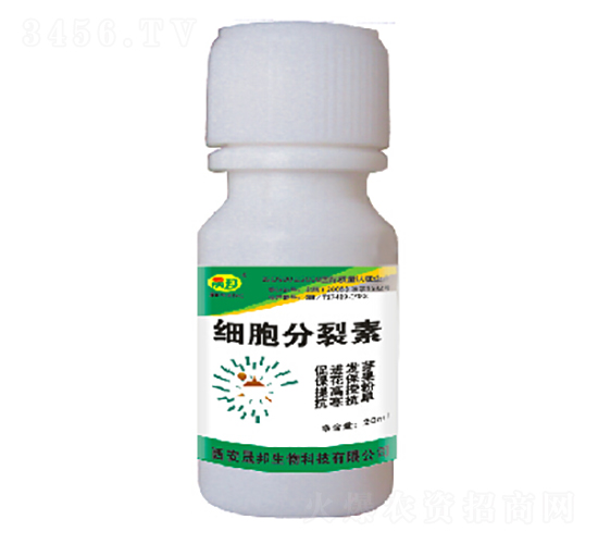 ��(x��)��������-�ɰ�����