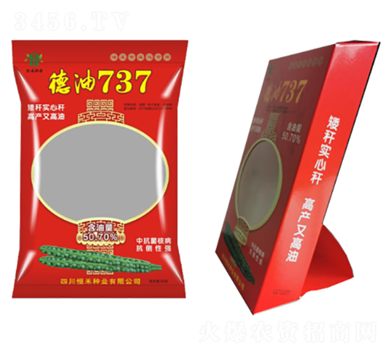 �Ͳ˷N��-����737-��̷N�I(y��)