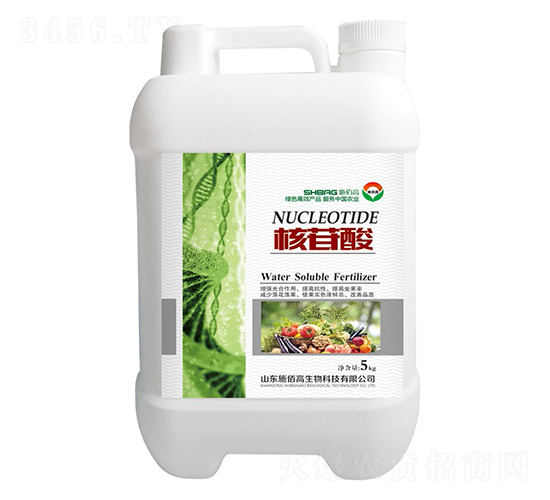 ������-ʩ�۸�