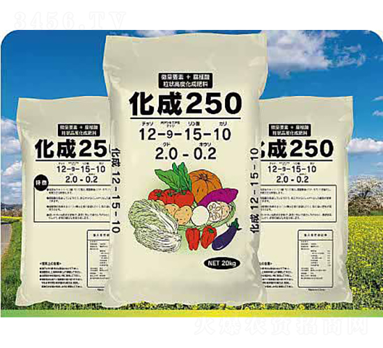 �߲ˌ��Ï�(f��)�����12-15-10-����ʘI(y��)