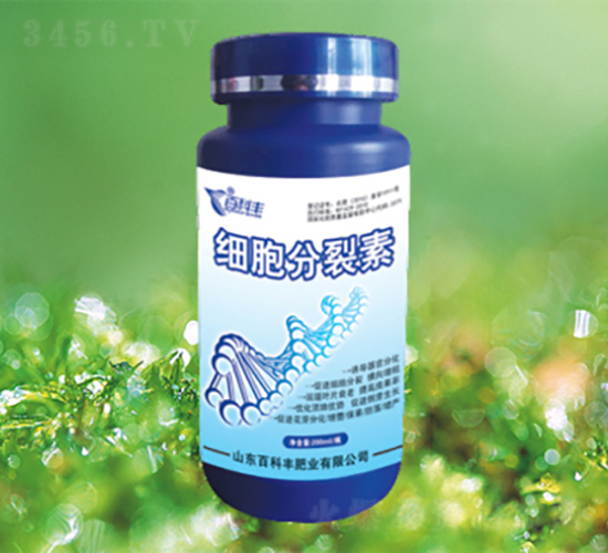 ����������-�ٿ��S