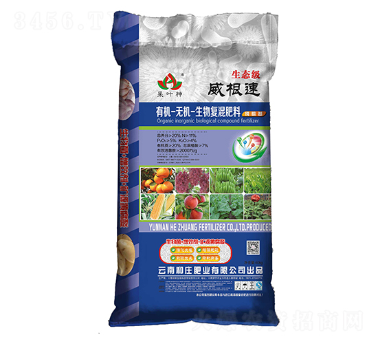 �ЙC(j��)�o�C(j��)�����(f��)�����11-5-4-���f�ʘI(y��)