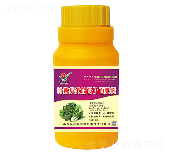 ƿ�b�~����S�����~�����-��Ȫ��