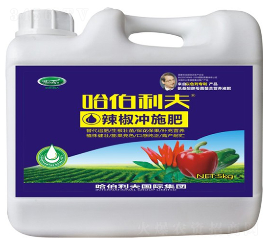 �������Û_ʩ��-��������