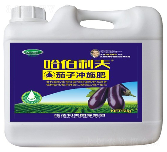 ���ӌ��Û_ʩ��-��������