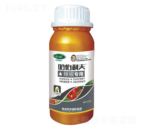 ��������-��������