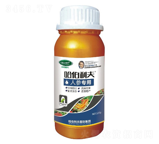 �˅���(zhu��n)��-��������