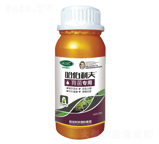 ���猣��-��������