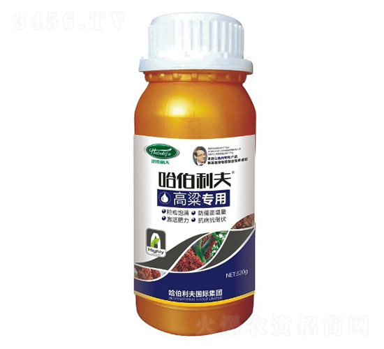 ��������-��������