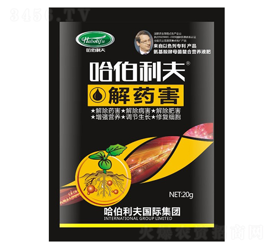 ��ˎ��-��������