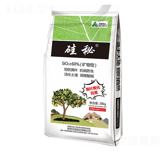 ���صV����-����ʘI(y��)