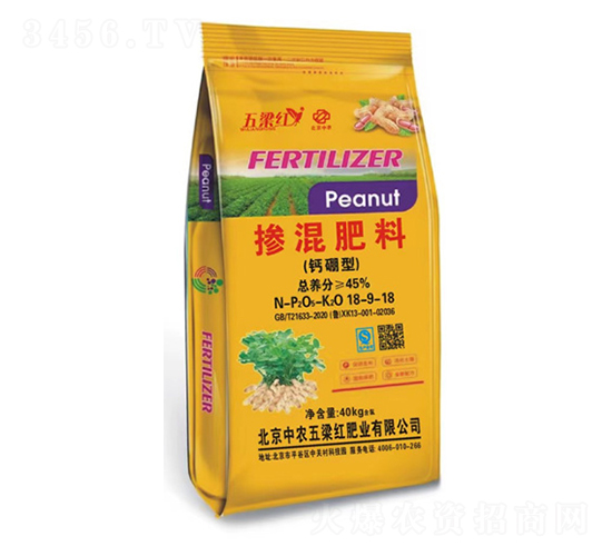 �}���͓������18-9-18-�����t