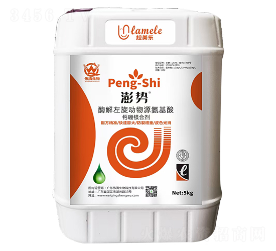 ø���������ﰱ�����}���V�τ�-���-��������