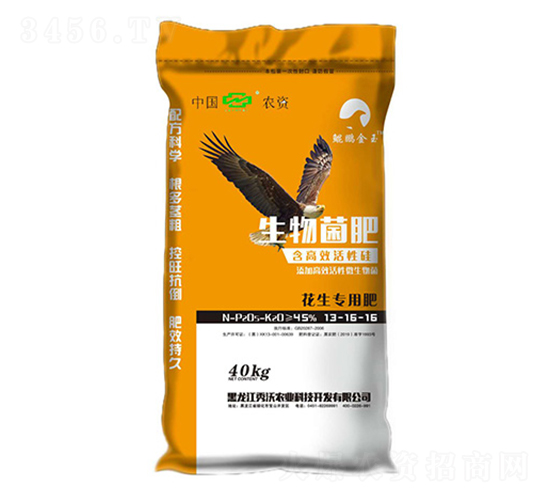 ���������������13-16-16-�����r(n��ng)�I(y��)