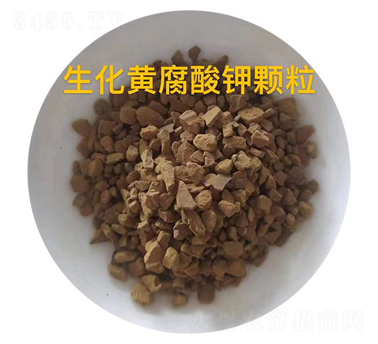 �����S������w��-��������