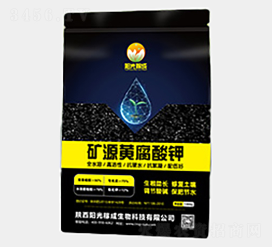 �VԴ�S�����-ꖹ�ڳ�