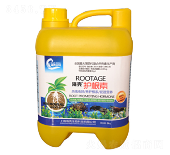 �����o����-��������