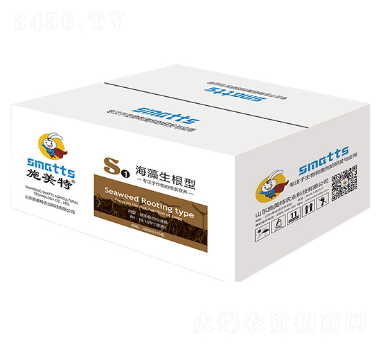 ����������S1-ʩ����