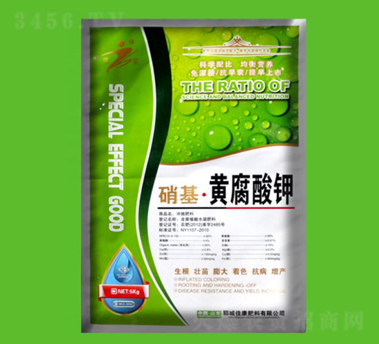 �������S�����-�ѿ�