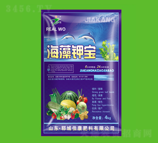 ����⛌�-�ѿ�