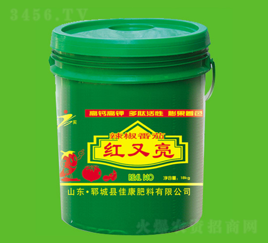 �������Ѽt����-�ѿ�