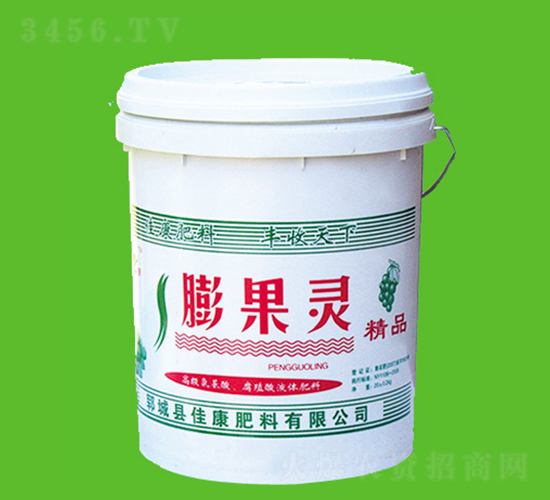 ����`-�ѿ�