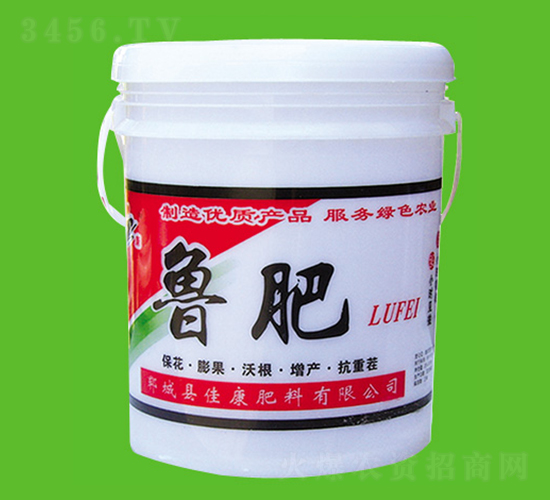 ����-�ѿ�