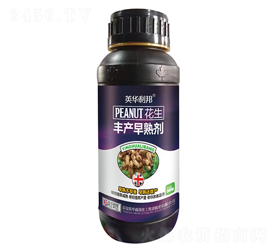 �����S�a(ch��n)���섩-��˴ֲ��