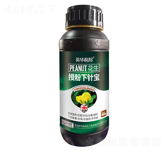 �����ڷ���ᘌ�-��˴ֲ��