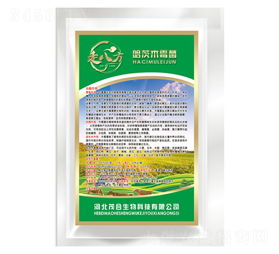 ����ľù��-�߰˷�-ï������