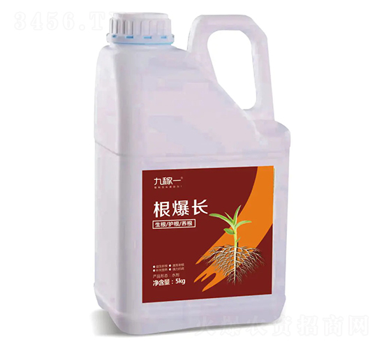 �����L(zh��ng)-�ż�һ