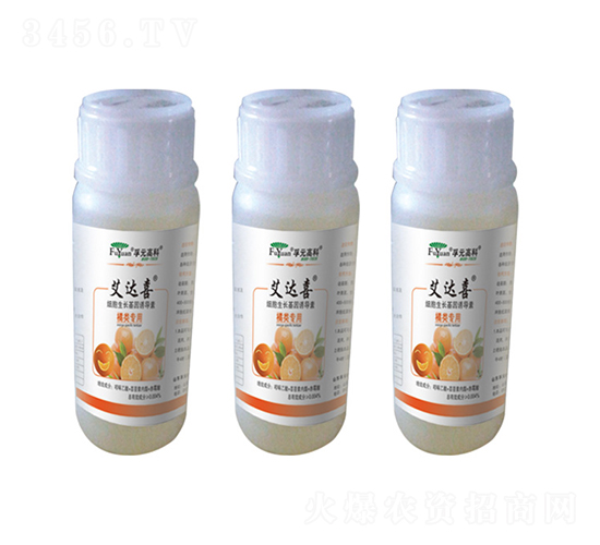 �����-���_(d��)ϲ-��Ԫ