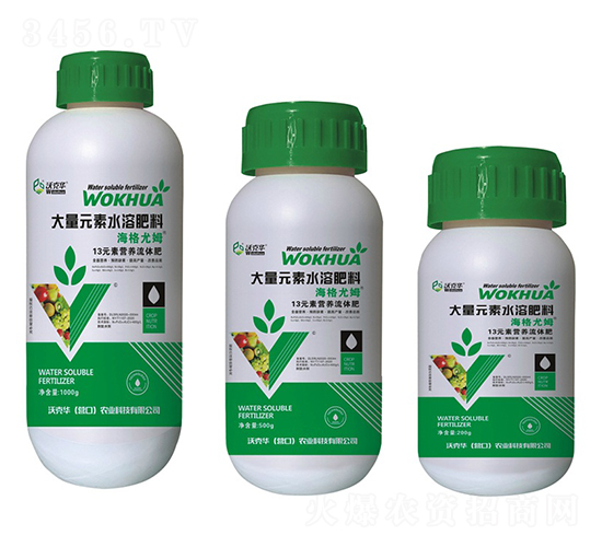 13Ԫ�ؠI�B(y��ng)���w��-�ֿ��A