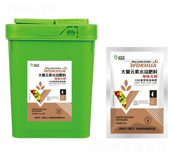 ������ķ13Ԫ�ؠI�B(y��ng)���w��-�ֿ��A