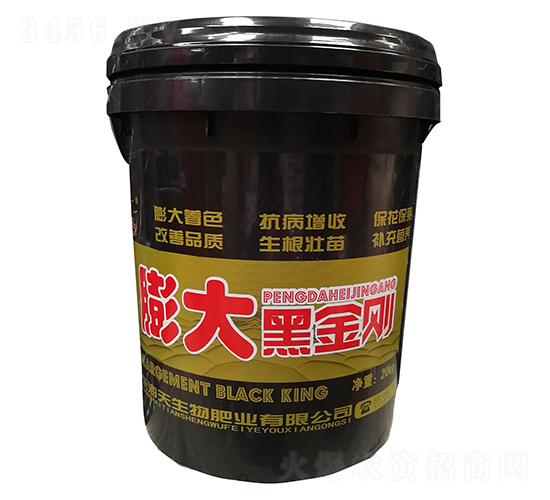 ���ڽ���-��������