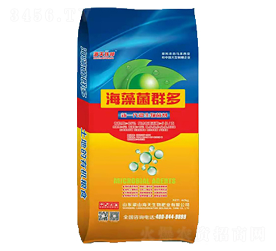 �����Ⱥ��-��������