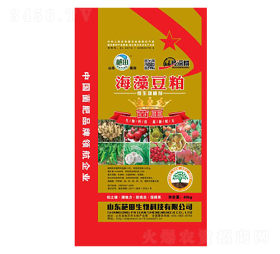 ���嶹��΢�������-��������