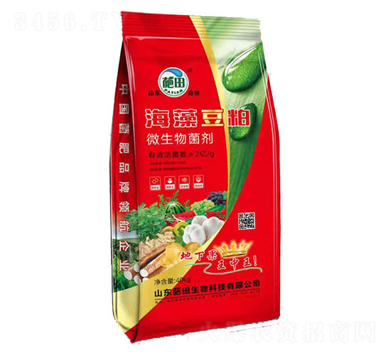 �tɫ���b���嶹��΢�������-��������