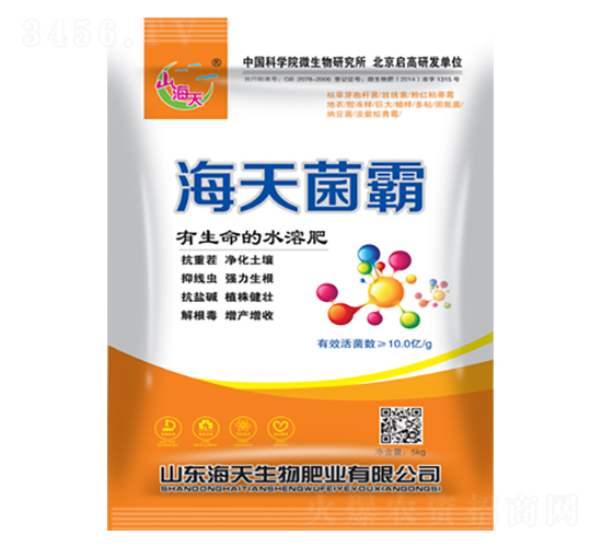 �������-��������