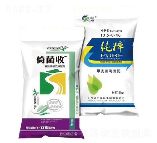 �о���+����-ԣ��߿�