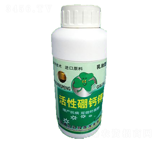 �������}�-ʩ����