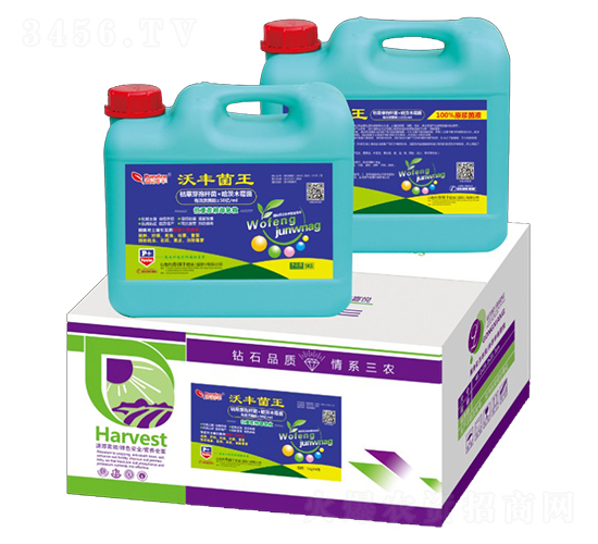 ���S����-�՝��S