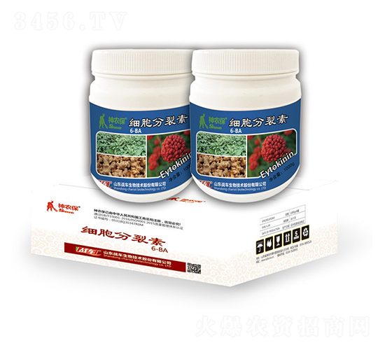 ��(x��)�������ؽM��-��(zh��n)܇