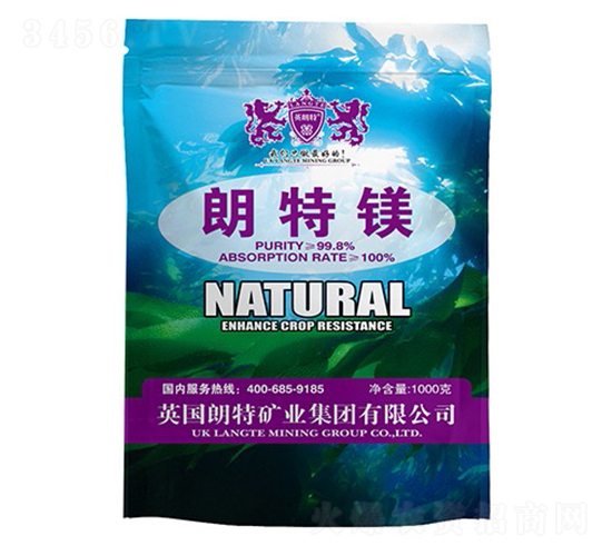 �����V-Ӣ����